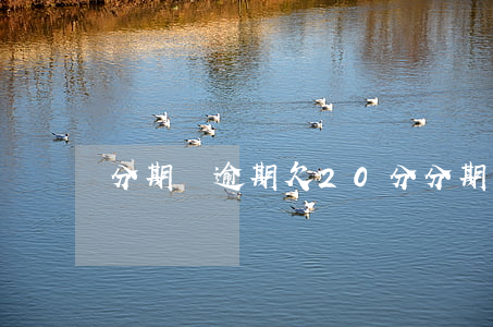 分期樂逾期欠20分(分期樂逾期欠20分)