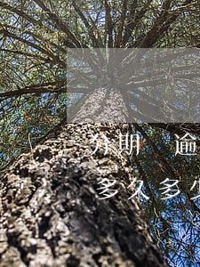 分期樂逾期欠款會坐牢嗎(欠分期樂貸款逾期多久多少錢會被起訴)