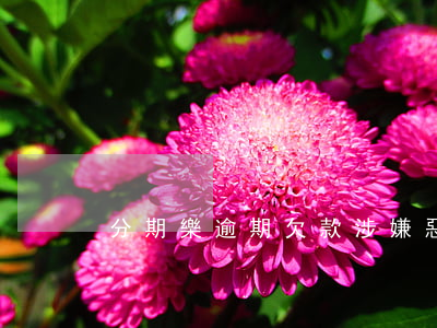 分期樂逾期欠款涉嫌惡意拖欠