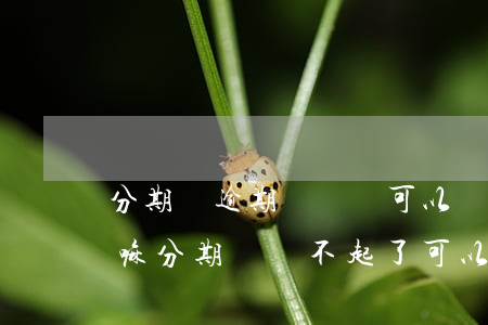 分期樂逾期沒錢還可以協(xié)商還款嘛 分期樂還不起了可以協(xié)商嗎