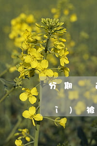 分期樂逾期法院怎么判(樂分期逾期會(huì)被起訴嗎)