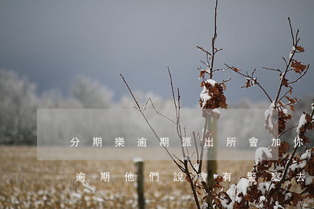 分期樂逾期派出所會加你微信嗎-分期樂的逾期他們說會有警察去家里是真的嗎