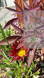 分期樂逾期發(fā)律師函警告(分期樂逾期發(fā)律師函警告)