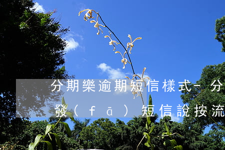 分期樂逾期短信樣式-分期樂逾期兩天給我發(fā)短信說按流程執(zhí)行