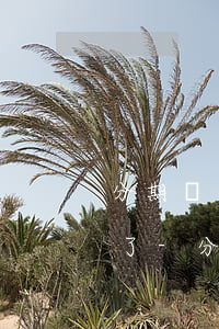 分期樂逾期結(jié)清后過兩月又能用了-分期樂逾期了2個(gè)月,結(jié)清了,會(huì)有征信嗎?
