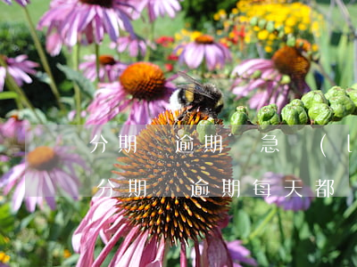 分期樂逾期緊急聯(lián)系人是朋友 分期樂逾期每天都給緊急聯(lián)系人打電話