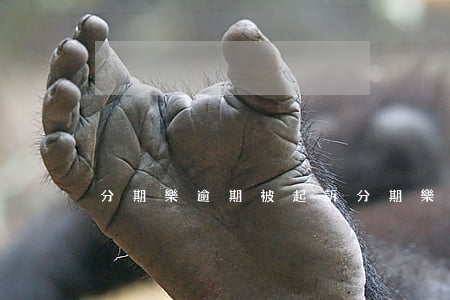 分期樂逾期被起訴(分期樂逾期被起訴)