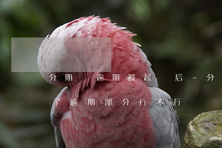 分期樂逾期被起訴后-分期樂逾期被起訴還了逾期部分行不行?