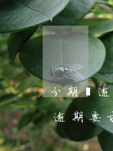 分期樂逾期要我一次性沒錢怎么辦-分期樂逾期要求一次性結清還不起咋辦