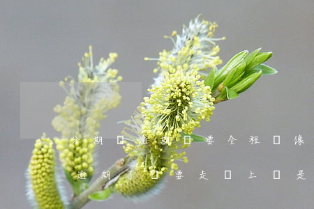 分期樂逾期說要全程錄像是真的嗎-分期樂逾期了說要走訪上門是真的嗎