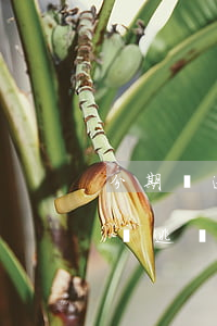 分期樂逾期說要報告逃廢債人員-分期樂上報逃廢債