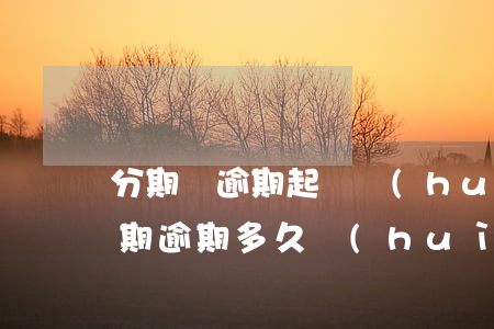 分期樂逾期起訴會(huì)判刑嗎-樂分期逾期多久會(huì)被起訴