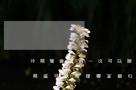 分期樂逾期過一次可以辦信用卡嗎(分期樂逾期還可以辦理哪家銀行信用卡)