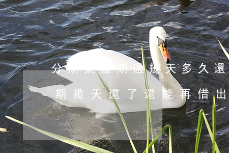 分期樂逾期過幾天多久還可以借-分期樂逾期幾天還了還能再借出來嗎