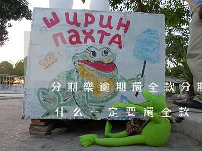 分期樂逾期還全款(分期樂長期逾期被起訴為什么一定要還全款)