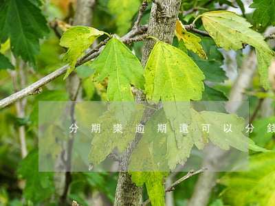 分期樂逾期還可以分錢嗎