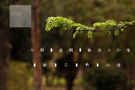分期樂逾期還款后上征信(分期樂逾期兩天后還款會不會影響征信)