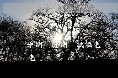 分期樂逾期還款能免費嗎(分期樂逾期還款能免費嗎)