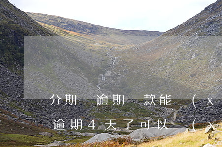 分期樂逾期還款能協(xié)商嗎(分期樂逾期4天了,可以協(xié)商延期還款嗎?)