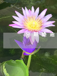 分期樂逾期還能繼續(xù)借嗎