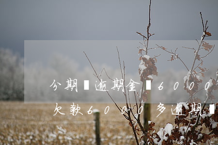 分期樂逾期金額6000會怎么樣-分期樂欠款6000多逾期兩個月會怎么樣