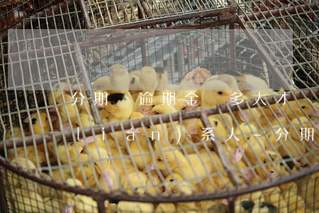 分期樂逾期金額多大才會(huì)打聯(lián)系人-分期樂逾期多少天才會(huì)打給緊急聯(lián)系人
