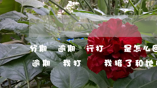 分期樂逾期銀行打電話是怎么回事-分期樂逾期給我打電話,我接了和她好好說了