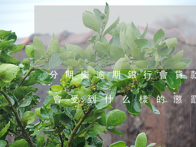 分期樂逾期銀行會貸款嗎(分期樂逾期不還款會受到什么樣的懲罰)