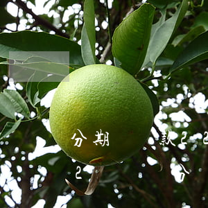 分期樂還款22點到2點還不了-分期樂12點過幾分還款了有影響嗎