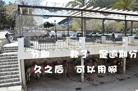 分期樂還款了還是逾期(分期樂逾期還款了多久之后還可以用啊)