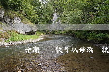 分期樂還款可以修改還款金額嗎-