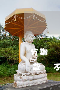 分期樂還款可以逾期嗎(分期樂逾期三天后還款會不會影響使用)