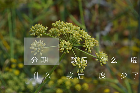 分期樂還款后為什么額度降低了-分期樂為什么還款后額度減少了