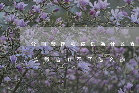 分期樂還款微信為什么支付不了-分期樂還款微信用不了怎么辦
