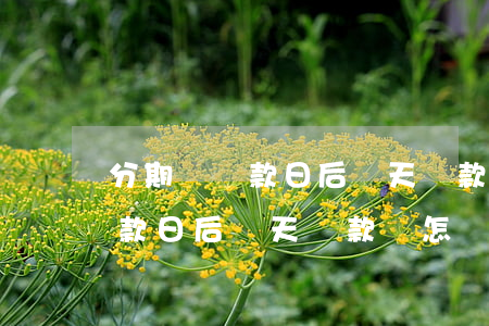 分期樂還款日后兩天還款會怎樣-分期樂還款日后兩天還款會怎樣嗎