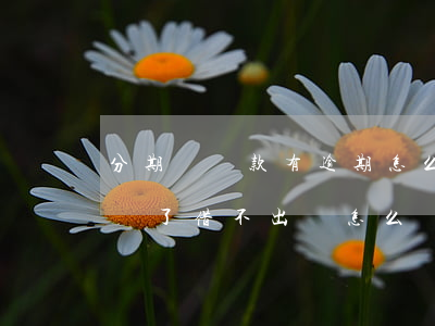 分期樂還款有逾期怎么辦(分期樂逾期了然后還了借不出來怎么辦)