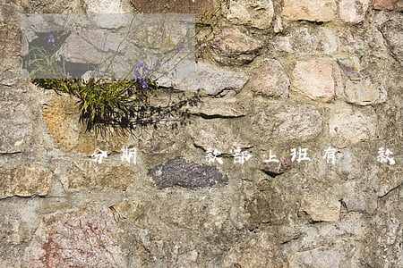 分期樂還款部上班有還款任務嗎-