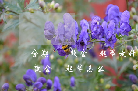 分期樂還款金額超限是什么意思-分期樂還款金額超限怎么辦
