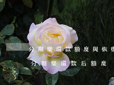 分期樂還款額度與恢復(fù)額度不同-分期樂還款后額度沒有復(fù)原