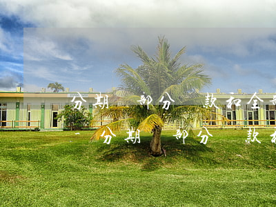 分期樂部分還款和全部還款的區(qū)別-分期樂部分還款和全部還款的區(qū)別是什么