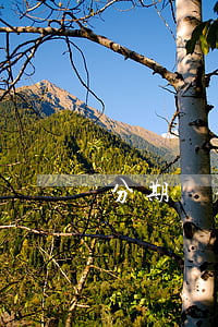 分期樂金融逾期還款
