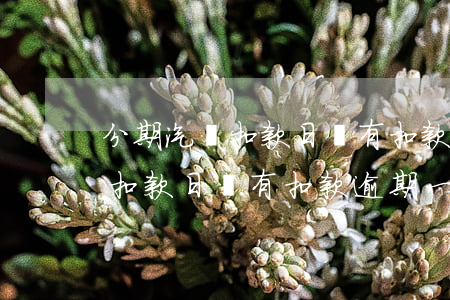 分期汽車扣款日沒有扣款逾期一天(分期汽車扣款日沒有扣款逾期一天會怎么樣)