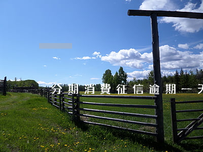 分期消費征信逾期一天影響大嗎