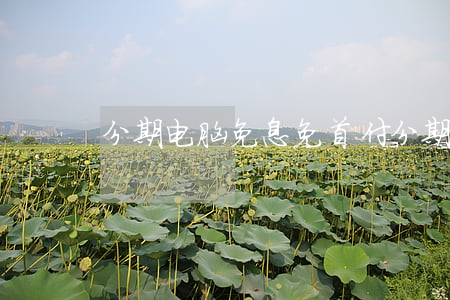 分期电脑免息免首付(分期电脑免息免首付)