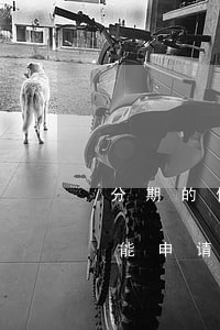 分期的信用卡逾期了怎么办（分期手机逾期了能申请信用卡吗）