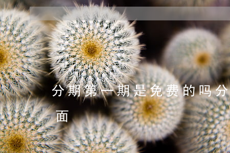 分期第一期是免费的吗（分期首月免息还是后面）