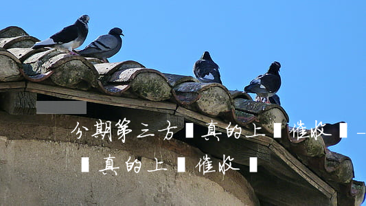 分期第三方會真的上門催收嗎-分期第三方會真的上門催收嗎