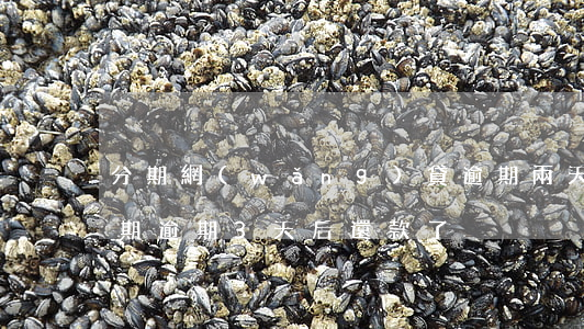 分期網(wǎng)貸逾期兩天后還款(來分期逾期3天后還款了)