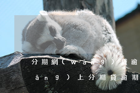 分期網(wǎng)貸逾期處理方案(網(wǎng)上分期貸逾期了怎么辦)