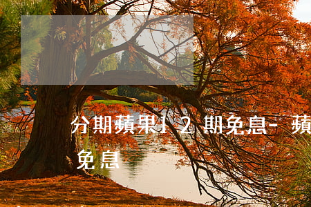 分期蘋果12期免息-蘋果手機12期分期免息
